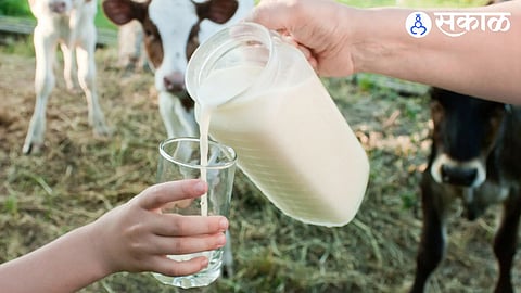 Milk Rate