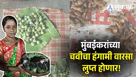 Tribal Vendors Livelihoods in dangered