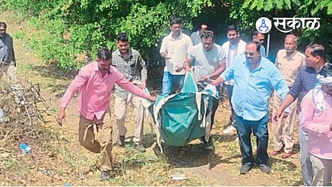 Vidarbha News