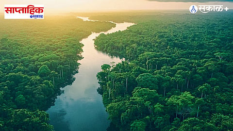 Climate change & carbon cycle 