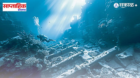Marine biology and oceanography 