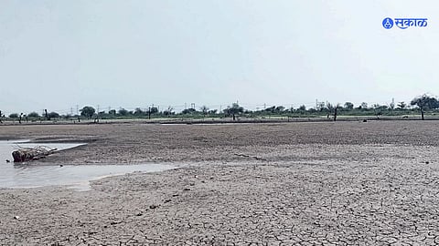 Buldhana News