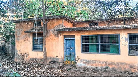 Vidarbha News