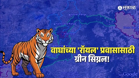 Tiger Safari