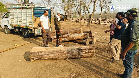 Forest Development Corporation Seizes ₹7 Lakh Worth Teakwood &amp; Tempo
