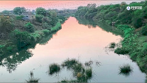 Vidarbha News: