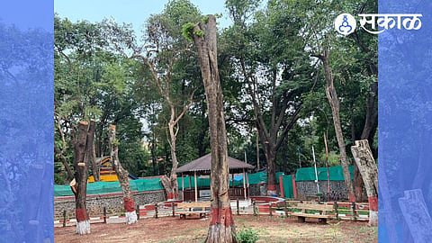 Tree cutting in pune mayor bunglow