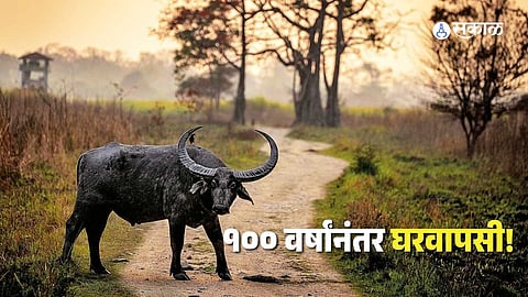 Kanha Tiger Reserve