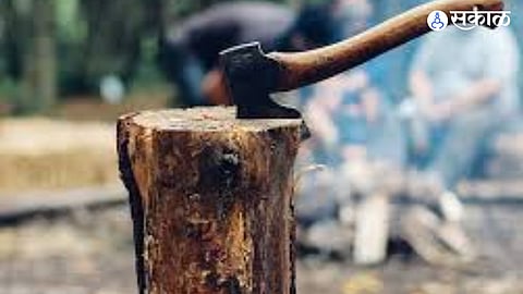 Trees Felled for RBI Staff Quarters Project