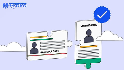 Voter Verification