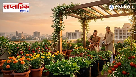 Sustainable Lifestyle through Gardening 