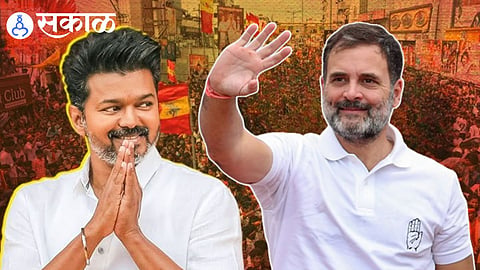 tamil nadu election tvk majority government news
