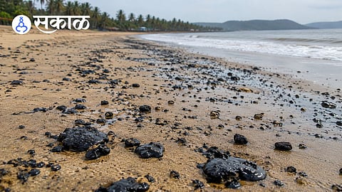 Rising Coastal Pollution on Alibag Beaches