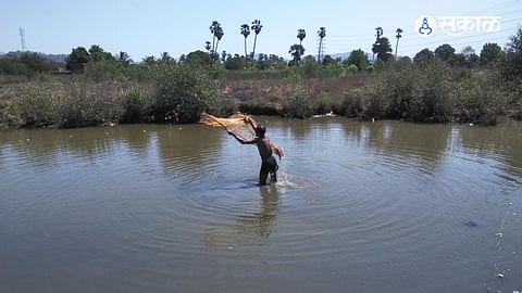 Summer Holidays in Virar: Fun Meets Skill in the Local Creeks
