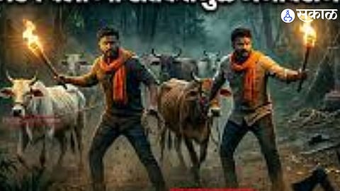 Degloor Police Rescue Cows and Bull in Crackdown on Illegal Cattle Transport