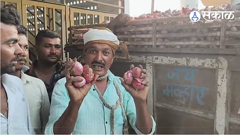 Onion Crisis Peaks in Satana: Farmer Attempts Suicide Over Mockery of Prices