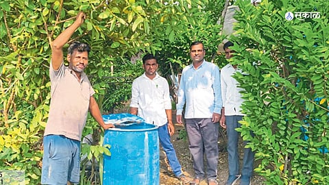 Beed News