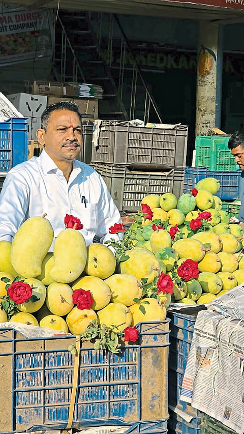 मार्केट यार्डात ७५० ग्रॅमचा 
‘गोल्डन केशर’ दाखल
