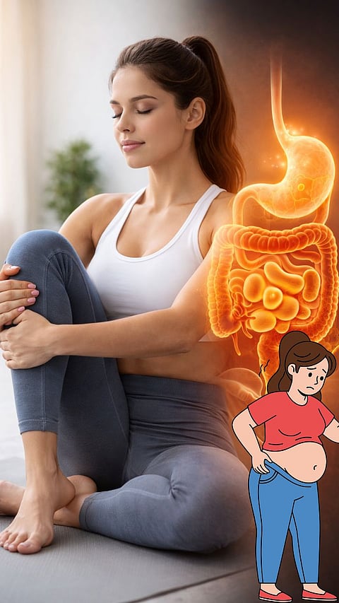 Gut health herbs 