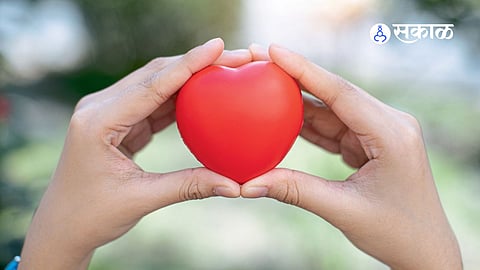 Understanding the Root Cause: How Atherosclerosis Affects Heart Health