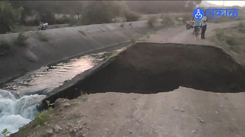 Pimpalgaon Joga Canal Leak Wreaks Havoc; Crops Flattened Across 25 Acres