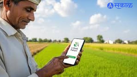 Government to Verify All E-Peek Entries Under Revised Transparency Rules