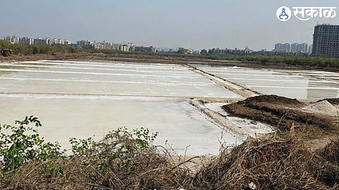 Traditional Salt Pan Industry in Crisis: Polluted Creek Water Destroying Salt Quality