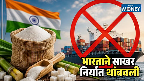 Sugar Export Ban Impact