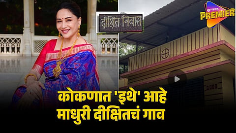 madhuri dixit villain