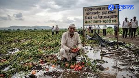 Heavy Storm Wreaks Havoc in Maharashtra’s Ahilyanagar District