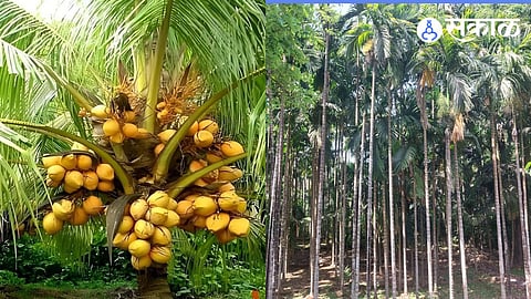 Kokan