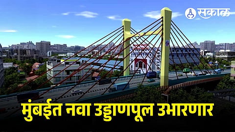 Mumbai Six Lane Stayes Bridge