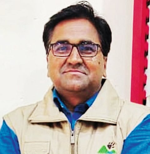 ढेबेवाडी गर्दी - गोंगाटामुळेच मधमाशा आक्रमक