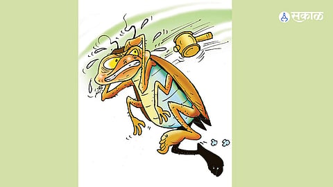 Satirical Poetry: 'Dhing Tang' Explores the Immortal Reign of the Cockroach Empire