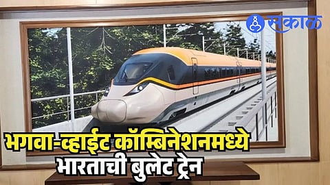 Bullet Train Look