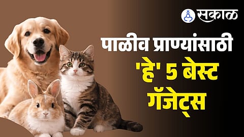 Best budget smart pet gadgets for safety tracking and health care in India