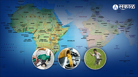 From Petrol to Fertilizers How Africa Supports Indias Growth 
