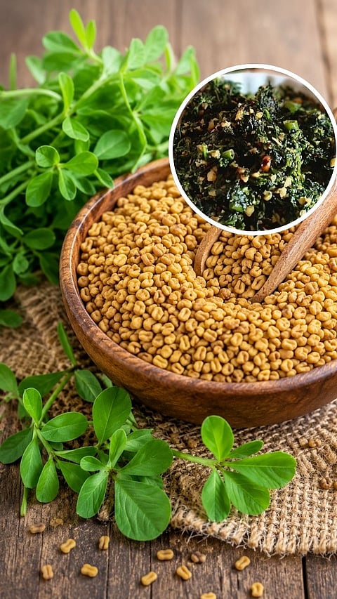 Side effects of eating fenugreek these people aviod 