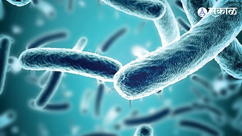 Understanding Pro-biotics: The Science of Beneficial Bacteria