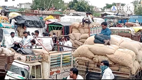 Fuel Crisis Hits Agriculture: Chilli Transport and Farming at a Standstill