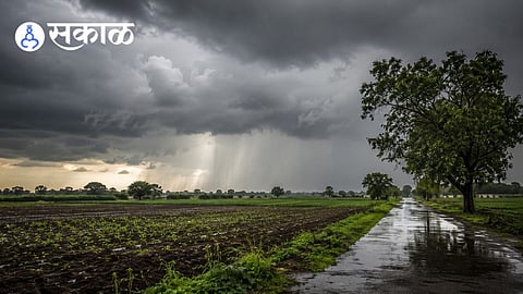Will Sangli receive heavy rain this week?