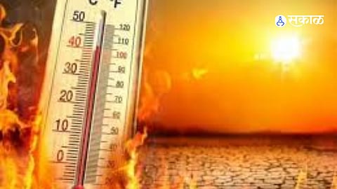 Heatwave Crisis in Maharashtra: Hospitals Report 226 Cases, 2 Fatalities Confirmed