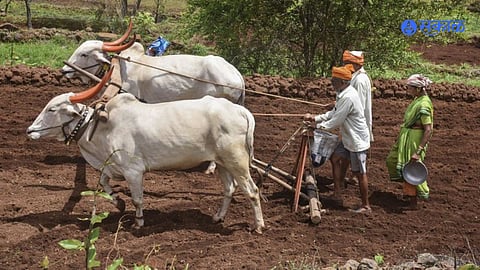 Farmer loan waiver Maharashtra statement chandrakant patil