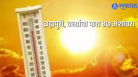 Scorching Heat Intensifies in Vidarbha; IMD Warns of Two More Days of Severe Conditions