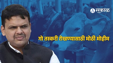 Authorities conducting vehicle inspections and monitoring illegal cattle transport as part of Maharashtra’s strict crackdown on cow smuggling and unauthorized slaughterhouses.