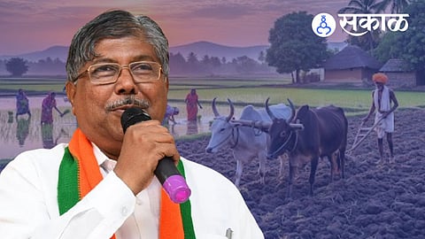 Chandrakant Patil farmer relief announcement