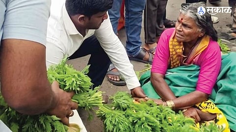 Beed Municipal Action Sparks Outrage as Grandma’s Vegetables Thrown into Garbage