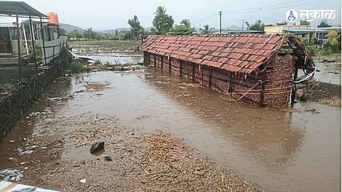 Thunderstorms Paralyse Pune District; Crops, Roads and Power Supply Affected
