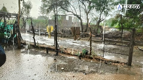 Stormy Relief: Heavy Rain and Hailstorms Hit Kumbhar Pimpalgaon