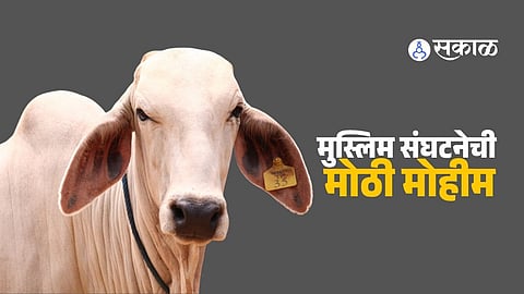 Muslim community members attend a Jamiat Ulema meeting in Dehradun discussing Bakrid guidelines, cleanliness, and a campaign to declare the cow as India’s national animal.